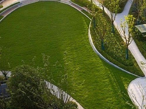 临平公园爆料最新消息今天